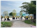 โครงการรณรงค์ลดปริมาณขยะ การทิ้งขยะ ... Image 12
