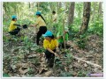 กิจกรรมโครงการส่งเสริม ปรับปรุง แก้ไข ... Image 5