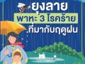 ยุงลาย พาหะ 3 โรคร้ายที่มากับฤดูฝน Image 1