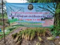 โครงการปลูกหญ้าแฝก ประจำปีงบประมาณ ๒๕๖๓ Image 1